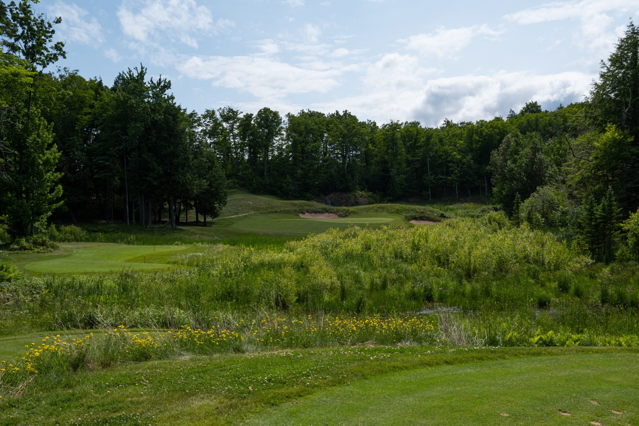 No. 3 · Par 3 · 175 yards at Greywalls: The Quiet Corner